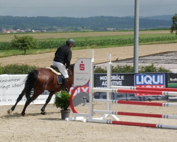 Reitturnier Jagstzell 2025
