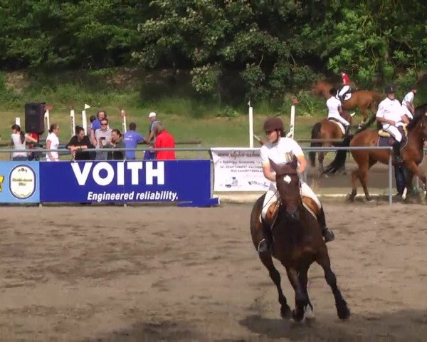 Großes Heidenheimer Reitturnier 2014