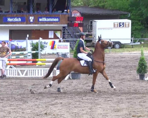 Großes Heidenheimer Reitturnier 2014