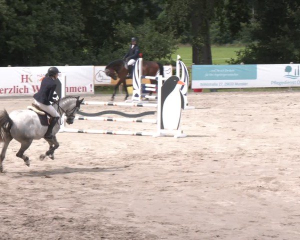 Reitturnier Alvern 2025