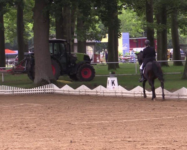 Reitturnier Zobbenitz 2025