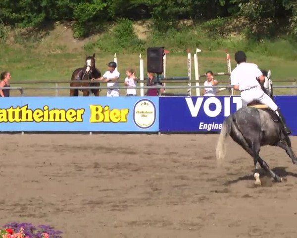 Großes Heidenheimer Reitturnier 2014