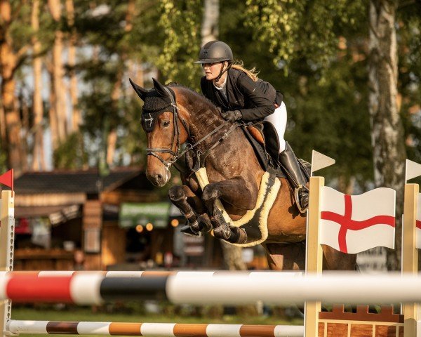 jumper Ophelia 92 (German Sport Horse, 2018, from Origi D'o)