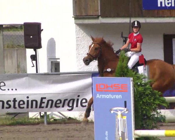 Großes Heidenheimer Reitturnier 2014