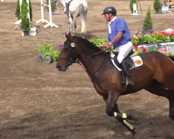 Großes Heidenheimer Reitturnier 2014