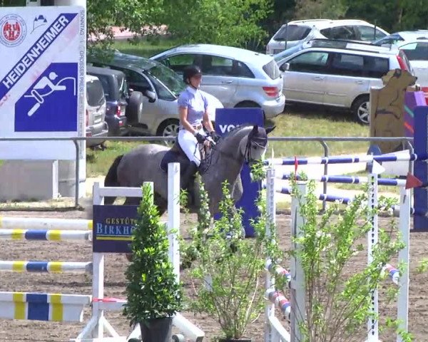 Großes Heidenheimer Reitturnier 2014
