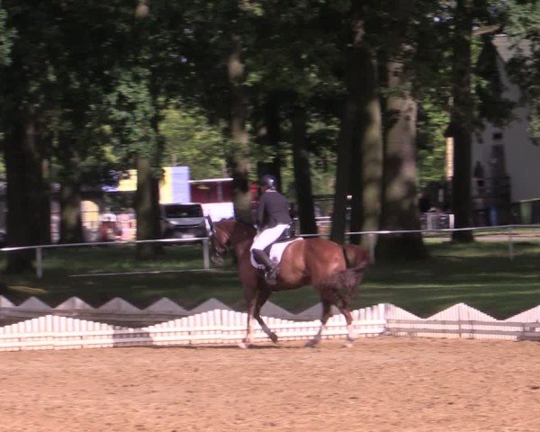 Reitturnier Zobbenitz 2025