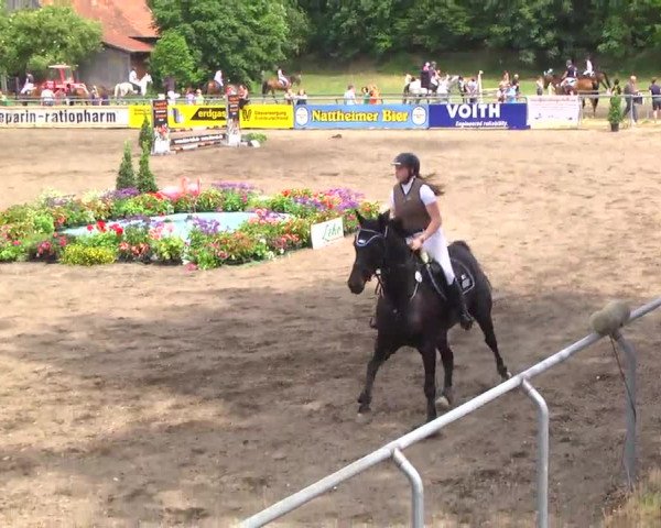 Großes Heidenheimer Reitturnier 2014