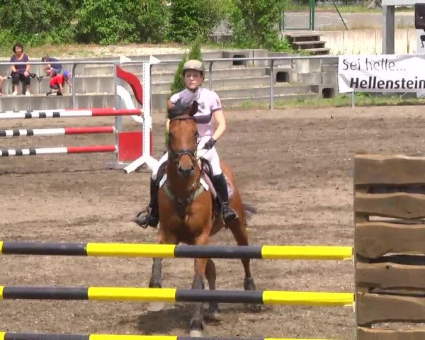Großes Heidenheimer Reitturnier 2014