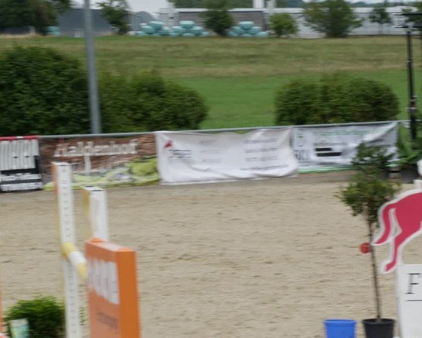 Reitturnier Jagstzell 2025
