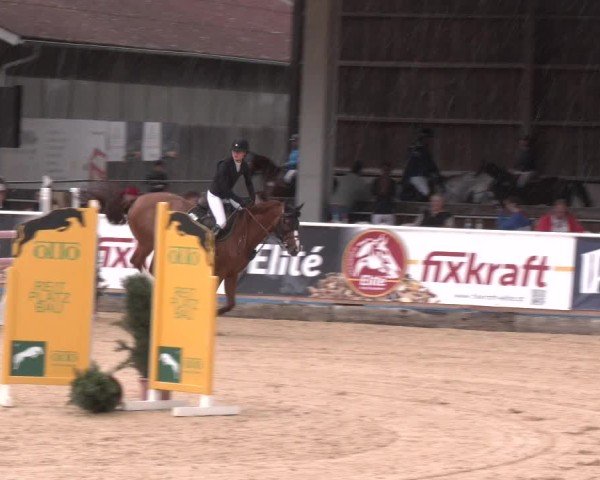 Reitturnier Ranshofen - Braunau am Inn 2025