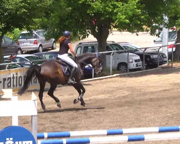 Großes Heidenheimer Reitturnier 2014