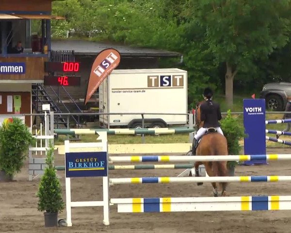 Großes Heidenheimer Reitturnier 2014