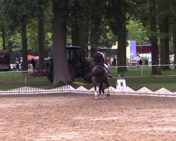 Reitturnier Zobbenitz 2025