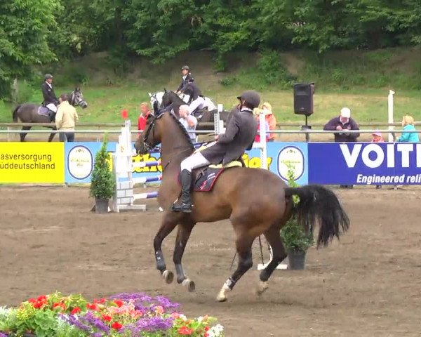 Großes Heidenheimer Reitturnier 2014