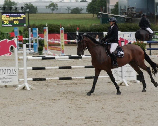 Reitturnier Jagstzell 2025