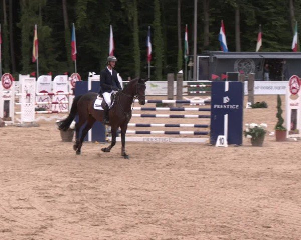 Reitturnier Ranshofen - Braunau am Inn 2025