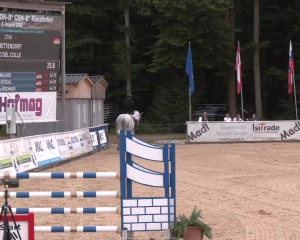 Reitturnier Ranshofen - Braunau am Inn 2025