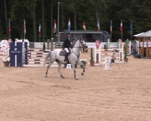 Reitturnier Ranshofen - Braunau am Inn 2025