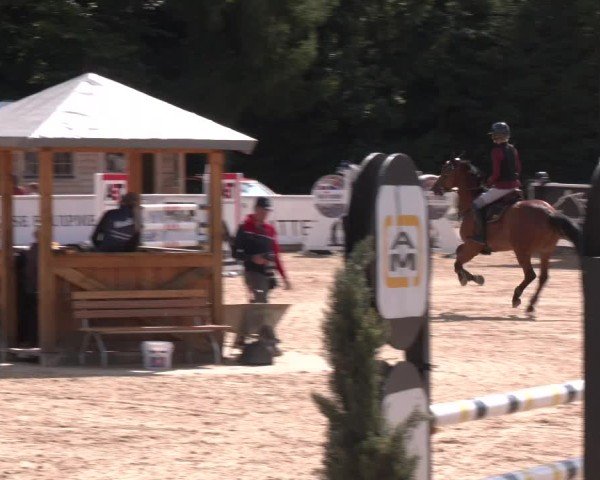 Reitturnier Ranshofen - Braunau am Inn 2025