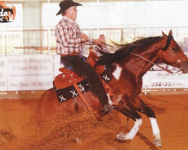 horse The Big Gun (Paint Horse,  , from Colonels Smoking Gun)