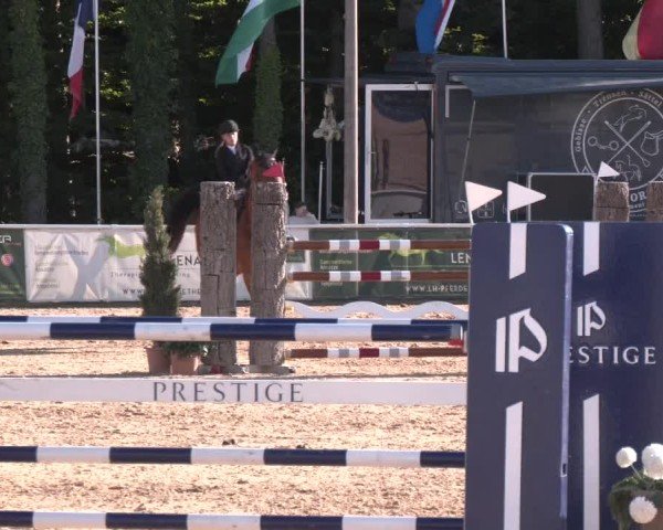 Reitturnier Ranshofen - Braunau am Inn 2025