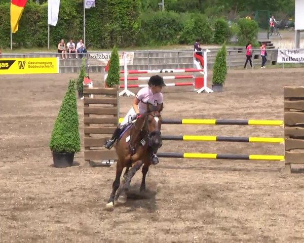 Großes Heidenheimer Reitturnier 2014