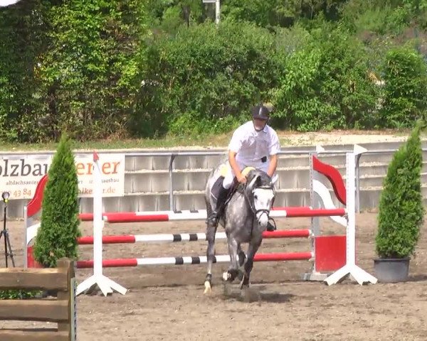 Großes Heidenheimer Reitturnier 2014
