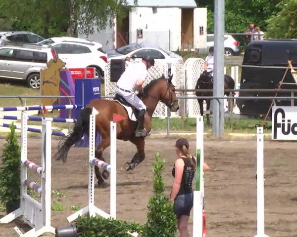 Großes Heidenheimer Reitturnier 2014