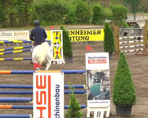 Großes Heidenheimer Reitturnier 2014