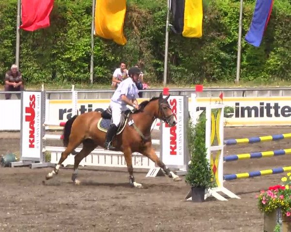 Großes Heidenheimer Reitturnier 2014