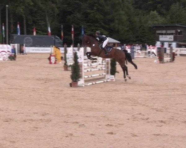 Reitturnier Ranshofen - Braunau am Inn 2025