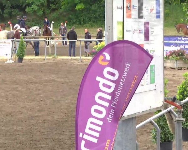 Großes Heidenheimer Reitturnier 2014