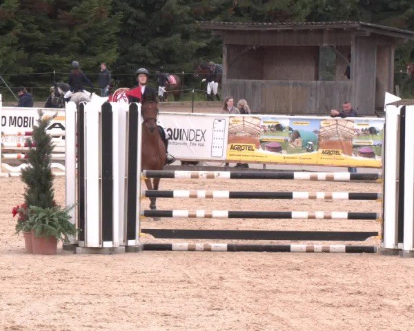 Reitturnier Ranshofen - Braunau am Inn 2025