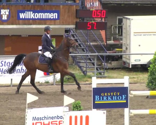 Großes Heidenheimer Reitturnier 2014