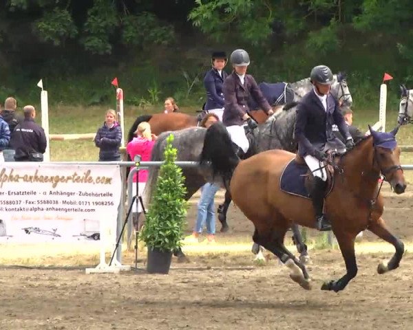 Großes Heidenheimer Reitturnier 2014