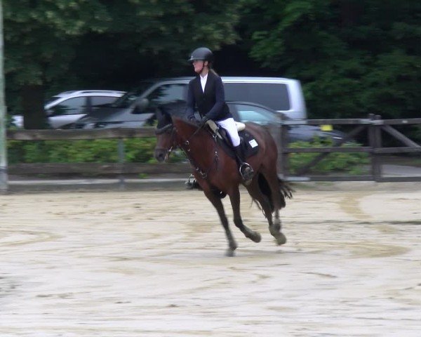 Reitturnier Stadtlohn 2025