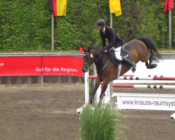 Großes Heidenheimer Reitturnier 2014