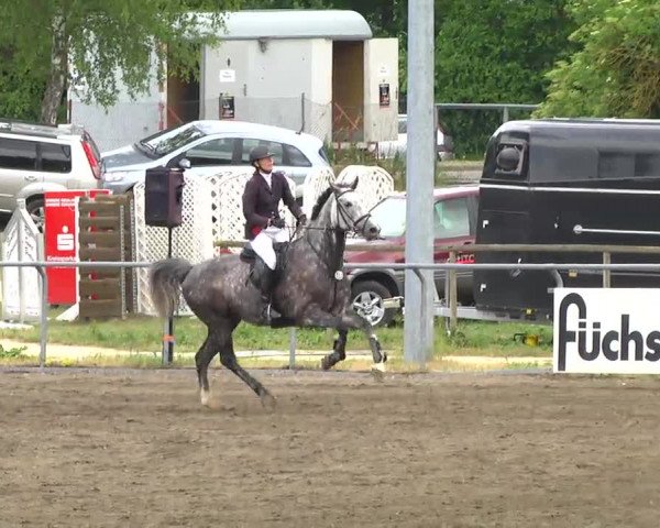 Großes Heidenheimer Reitturnier 2014