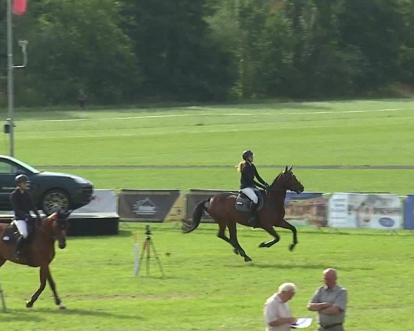 Reitturnier Bad Kissingen/Ufr. 2025