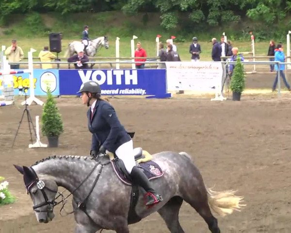 Großes Heidenheimer Reitturnier 2014