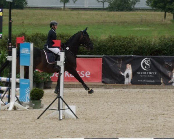 Reitturnier Jagstzell 2025