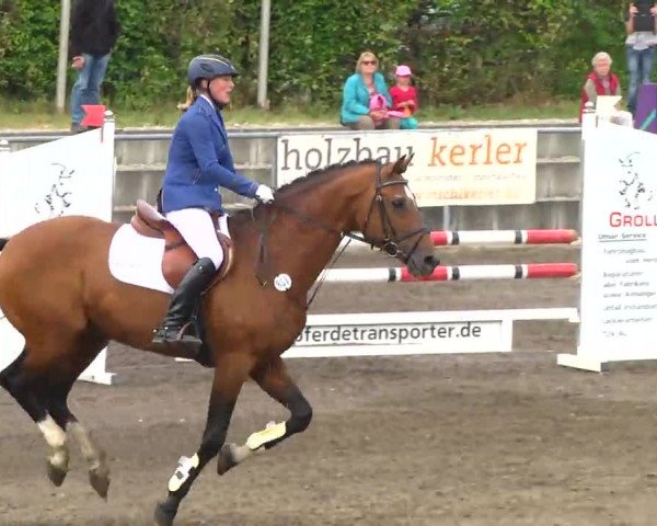 Großes Heidenheimer Reitturnier 2014