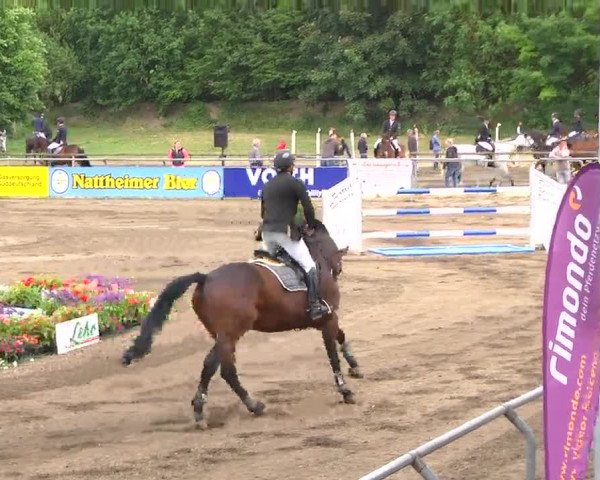 Großes Heidenheimer Reitturnier 2014