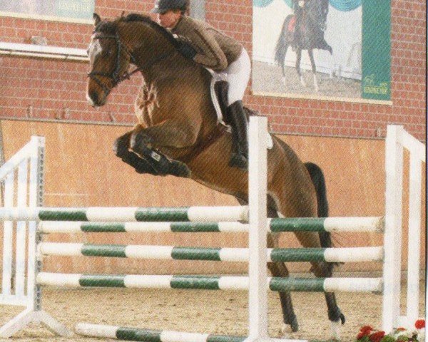 Springpferd Ligoretto 8 (Mecklenburger, 2006, von Lancado)