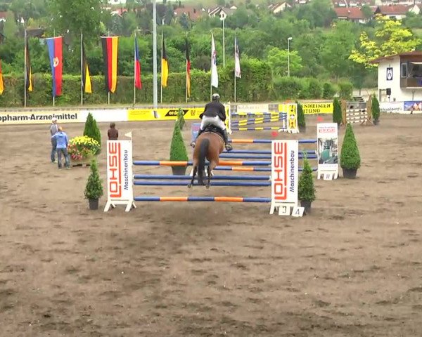 Großes Heidenheimer Reitturnier 2014