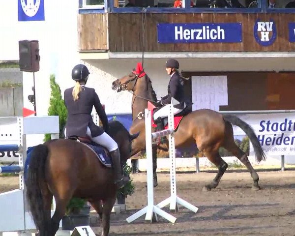Großes Heidenheimer Reitturnier 2014
