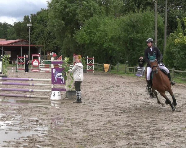 Reitturnier Altlandsberg 2025