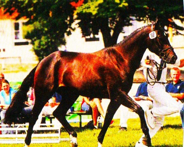 jumper Ginessa 2 (Bavarian, 2000, from La Pilot)