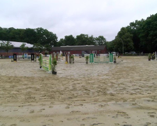 Reitturnier Stadtlohn 2025